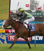 Manawanui has a mortgage on the Stan Fox according to punters<br>Photo by Racing and Sports