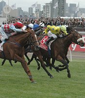 Christophe Lemaire and Dunaden win the 2011 Melbourne Cup from Red Cadeaux