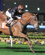 Miss Stellabelle wins the Champagne Stakes at Moonee Valley<br>Photo by Racing and Sports