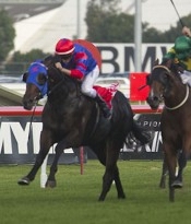 Pierro and Snitzerland fight out last year's Slipper<br>Photo by Racing and Sports