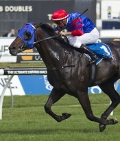 Pierro<br>Photo by Racing and Sports