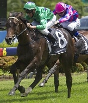 Rampaging wins at Canterbury<br>Photo by Racing and Sports