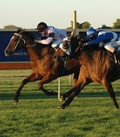 The Paymaster wins at Newcastle<br>Photo by Racing and Sports