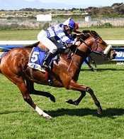 Rain Gal in full flight<br>Photo by Gold Circle