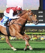 Sepoy<br>Photo by Racing and Sports