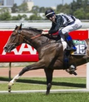 Single Set To Resume In The Autumn<br>Photo by Racing and Sports