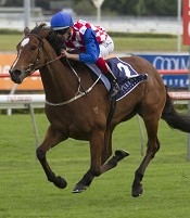 How good a filly is Streama?<br>Photo by Racing and Sports