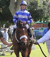 Soweto Slew returns to scale after winning at Kenilworth<br>Photo by Liesl King