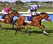 Soweto Slew wins at Kenilworth<br>Photo by Gold Circle