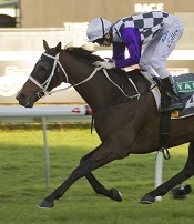 The Verminator is just one of the Waller army<br>Photo by Racing and Sports