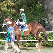 Variety Club parades <br>Photo by Liesl King