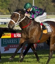 Wazn just one of the Waller arsenal<br>Photo by Racing and Sports