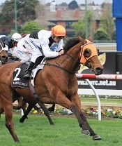 Woorim has been off the map in the Rupert Clarke<br>Photo by Racing and Sports