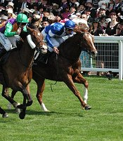 Prohibit beats Star Witness in the 2011 King's Stand Stakes<br>Photo by Racing and Sports