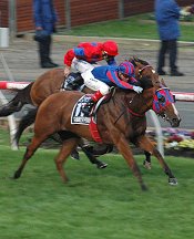 Pinker Pinker winning the Cox Plate<br>Photo by Racing and Sports