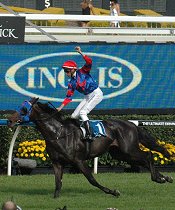 Champion 2YO Pierro<br>Photo by Racing and Sports