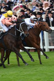 Black Caviar wins at Royal Ascot<br>Photo by Racing and Sports