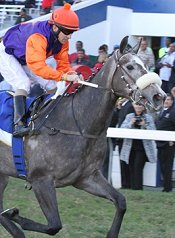 All Is Secret wins the Thekwini Stakes<br>Photo by Liesl King