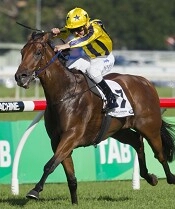 Bel Sprinter came from nowhere to win