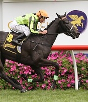 Commanding Jewel<br>Photo by Racing and Sports