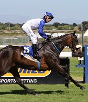 Dubai Gina wins Sun Classique<br>Photo by Liesl King