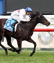 Elite Elle is the only filly in the race<br>Photo by Racing and Sports