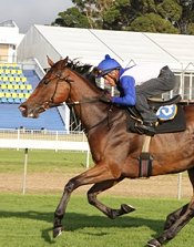 Emerald Cove works at Turffontein<br>Photo by Liesl King