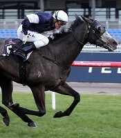 Fawkner<br>Photo by Racing and Sports