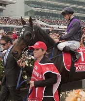 Fiorente<br>Photo by Racing and Sports