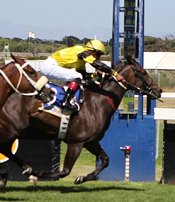 Frequent Flyer wins Jamaica Handicap<br>Photo by Liesl King