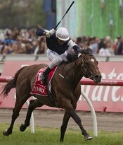 Green Moon streaks clear in the Cup<br>Photo by Racing and Sports
