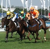 Polish Knight wins the Tulloch Stakes<br>Photo by Racing and Sports