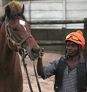 J J The Jet Plane after Trackwork<br>Photo by Liesl King