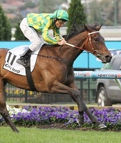 Lake Sententia wins over 2040m at the Valley<br>Photo by Racing and Sports