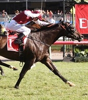 Launay could be the one away from the Monash form<br>Photo by Racing and Sports