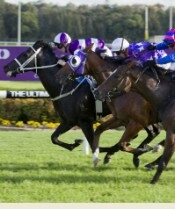 Loophole appears well placed to make it back to back wins.<br>Photo by Racing and Sports