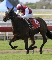 Exciting Sprinter Mental<br>Photo by Racing and Sports