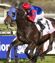 Pierro<br>Photo by Racing and Sports