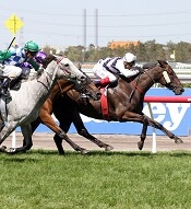 Budriguez and Puissance De Lune Fight Out The Blamey<br>Photo by Racing and Sports