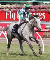 Puissance De Lune is a player as part of the System this week<br>Photo by Racing and Sports