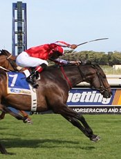 Polar Bound wins the Peninsula Handicap<br>Photo by Liesl King