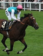 Frankel<br>Photo by Racing and Sports