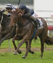 Quintessential won the Oaks on the bog track