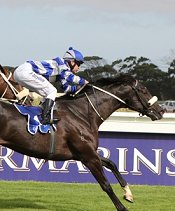 Gimmethegreenlight wins the Queens Plate<br>Photo by Liesl King