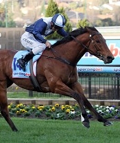 Sea Lord has the highest Rating out of his Australia Stks win<br>Photo by Racing and Sports