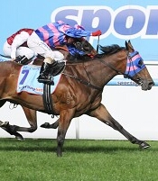 Sea Siren seen here winning the Manikato<br>Photo by Racing and Sports