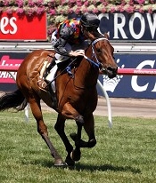 Shamal Wind lets rip at Flemington <br>Photo by Racing and Sports