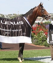 Shamexpress sashed after winning the Newmarket<br>Photo by Racing and Sports