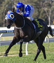 Can Strawberry Boy give Moody and Nolen back to back Sir Rupert Clarkes<br>Photo by Racing and Sports