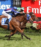 Super Cool striving to win the Australian Cup